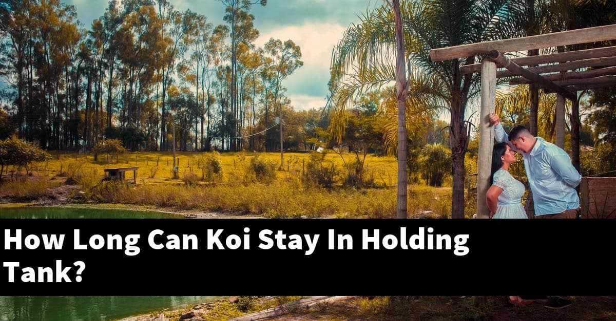 How Long Can Koi Stay In Holding Tank?