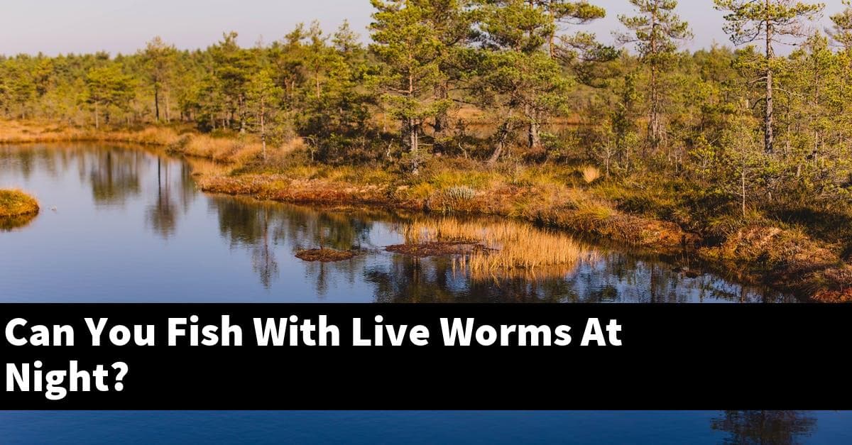 Can You Fish With Live Worms At Night?