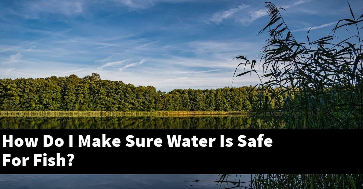 How Do I Make Sure Water Is Safe For Fish?