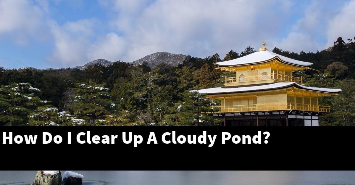 How Do I Clear Up A Cloudy Pond?