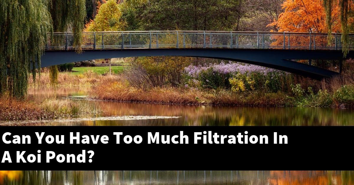 Can You Have Too Much Filtration In A Koi Pond?