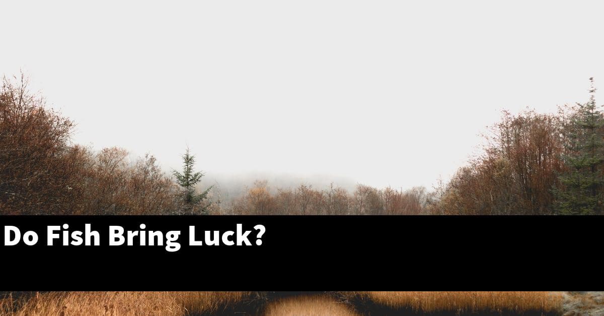 Do Fish Bring Luck?