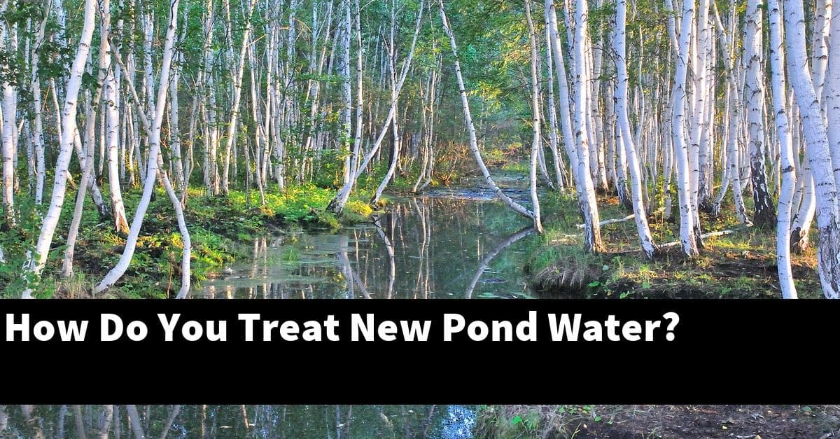 How Do You Treat New Pond Water?