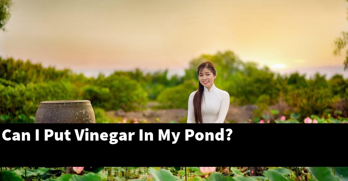 Can I Put Vinegar In My Pond?