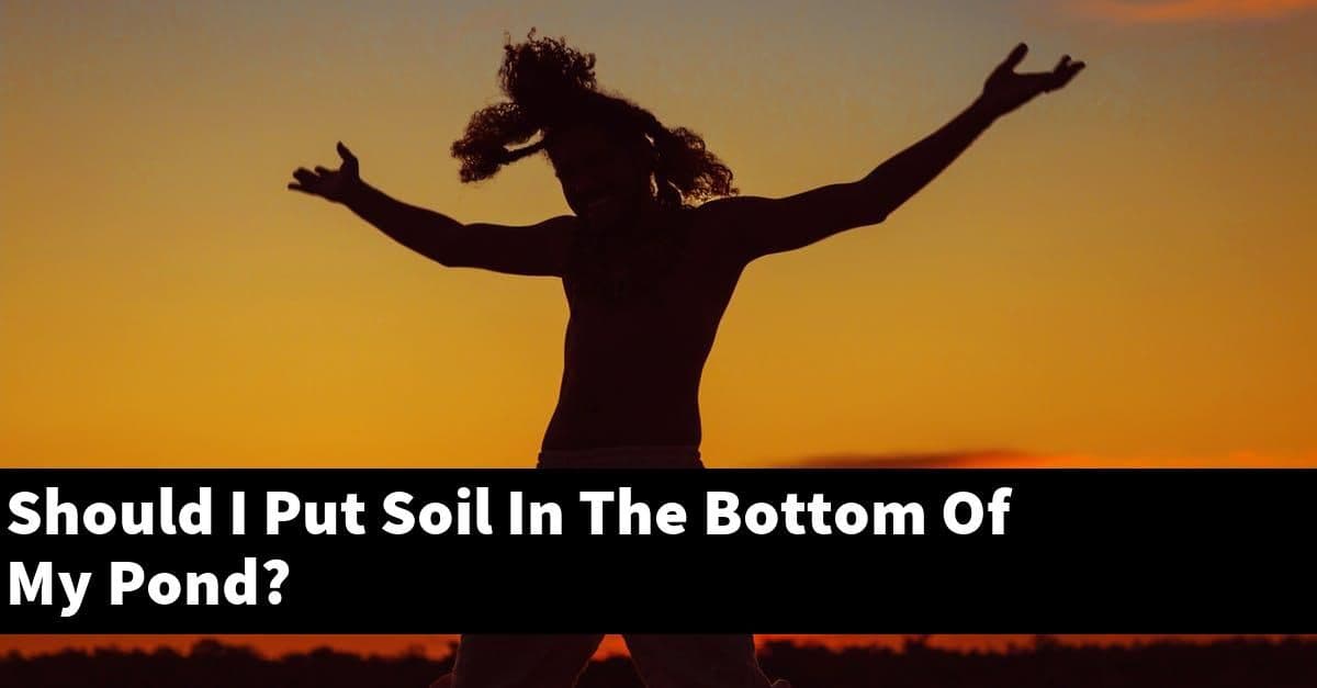 Should I Put Soil In The Bottom Of My Pond?