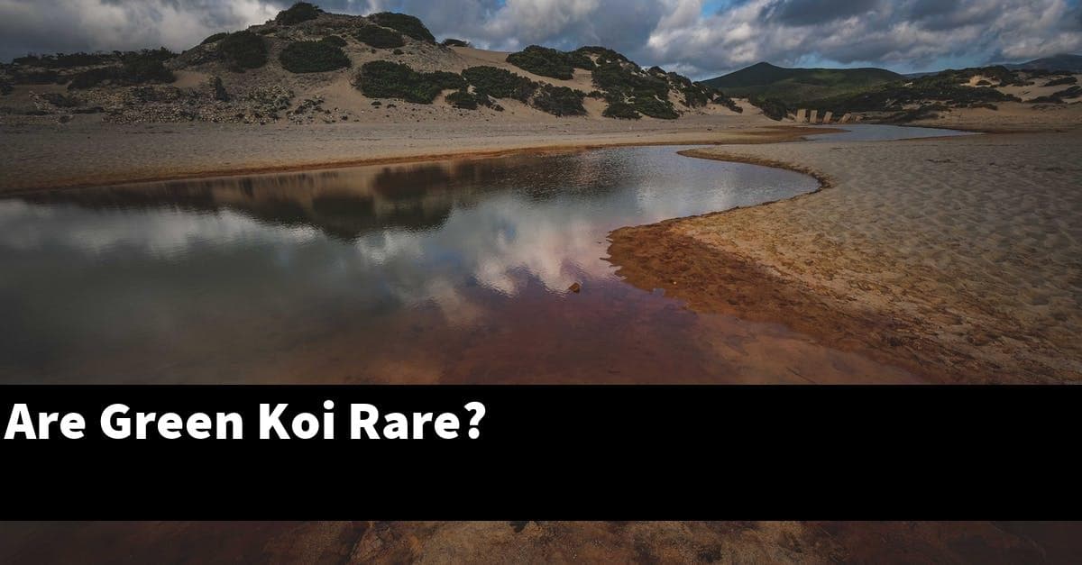 Are Green Koi Rare?