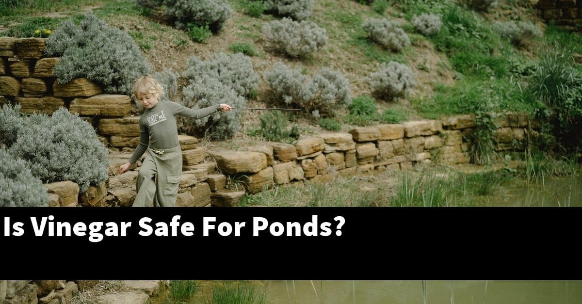 Is Vinegar Safe For Ponds?