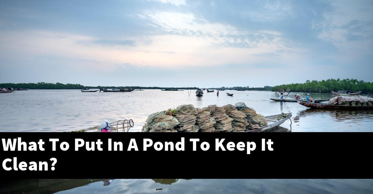What To Put In A Pond To Keep It Clean?