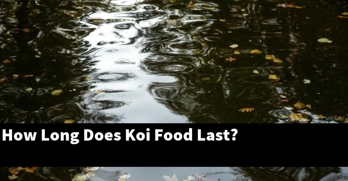 How Long Does Koi Food Last?