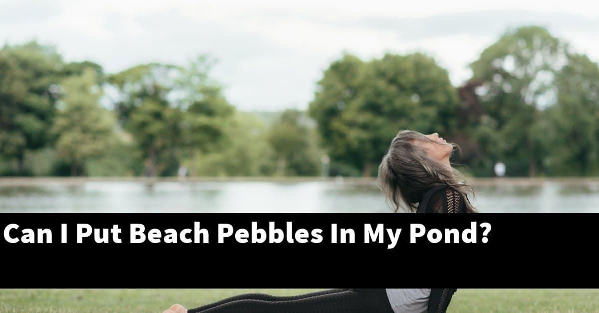 Can I Put Beach Pebbles In My Pond?