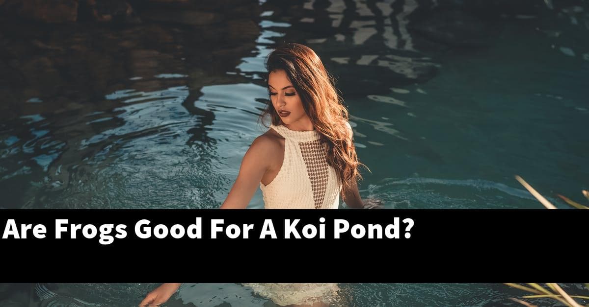 Are Frogs Good For A Koi Pond?