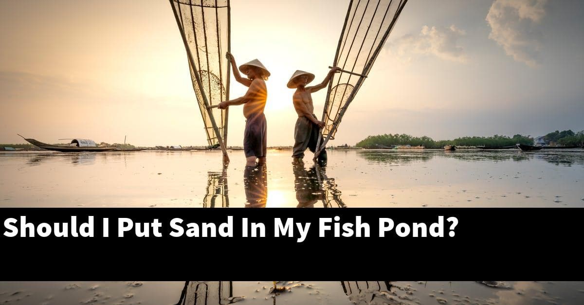 Should I Put Sand In My Fish Pond?