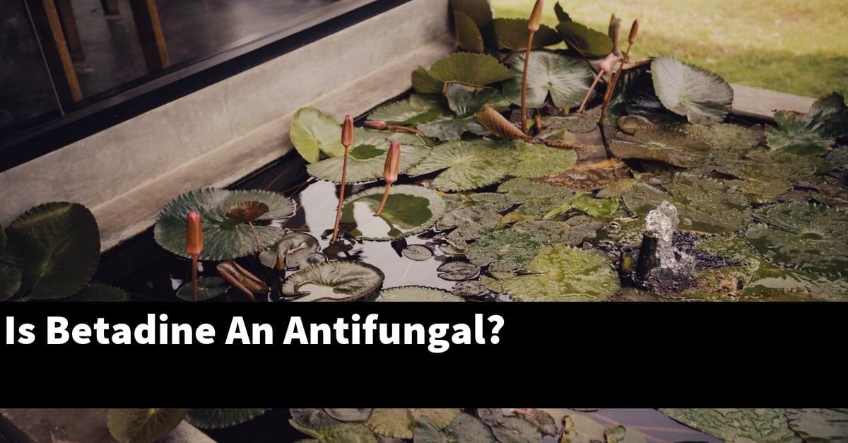Is Betadine An Antifungal?