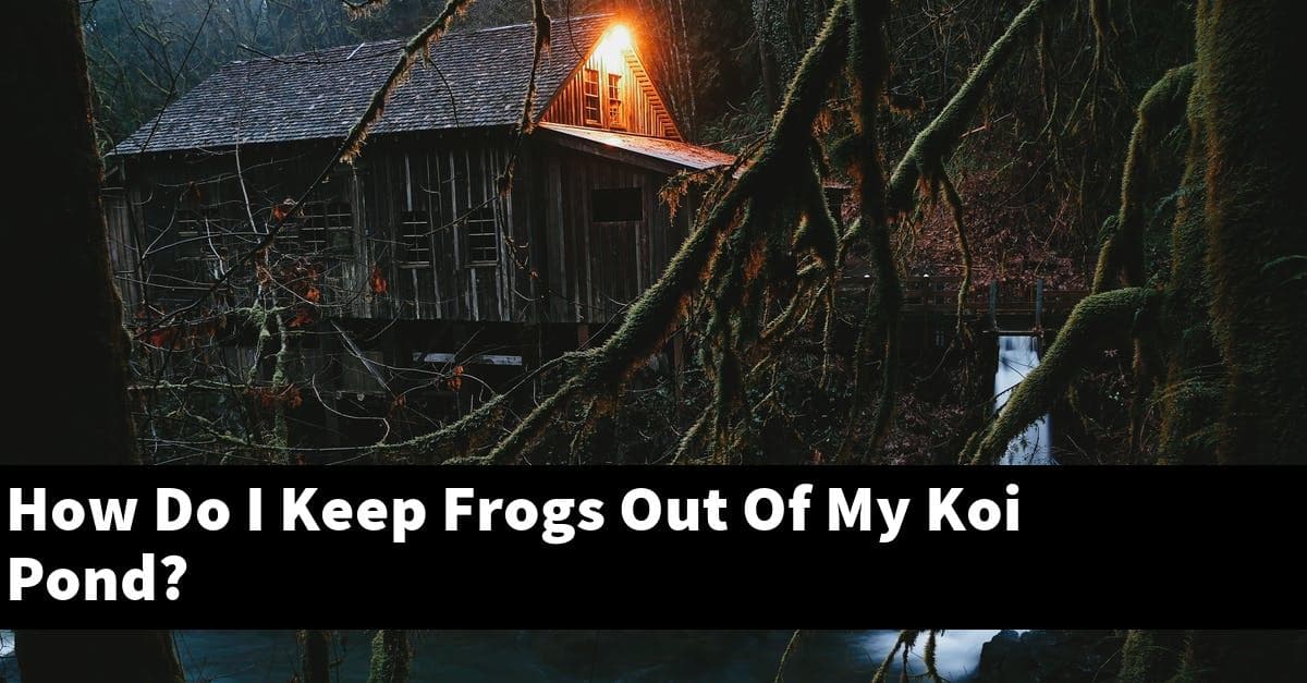 How Do I Keep Frogs Out Of My Koi Pond?
