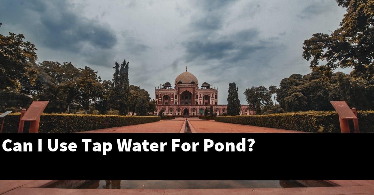 Can I Use Tap Water For Pond?