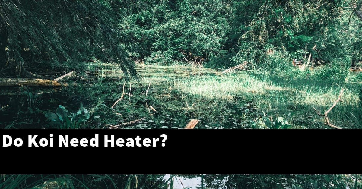 Do Koi Need Heater?