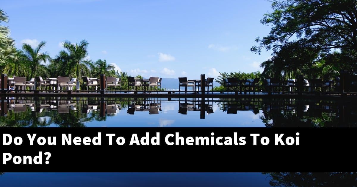 Do You Need To Add Chemicals To Koi Pond?