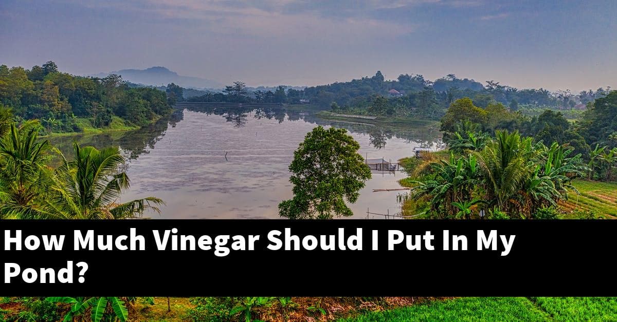 How Much Vinegar Should I Put In My Pond?