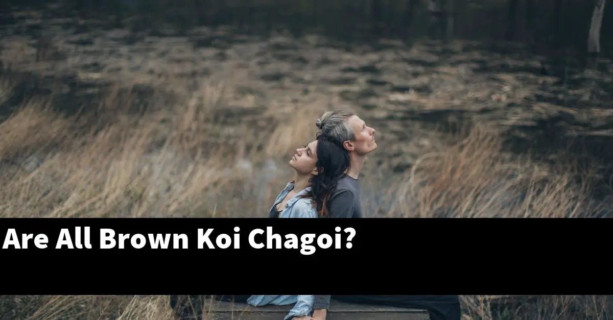 Are All Brown Koi Chagoi?