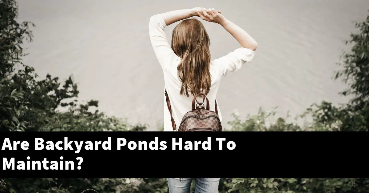Are Backyard Ponds Hard To Maintain?