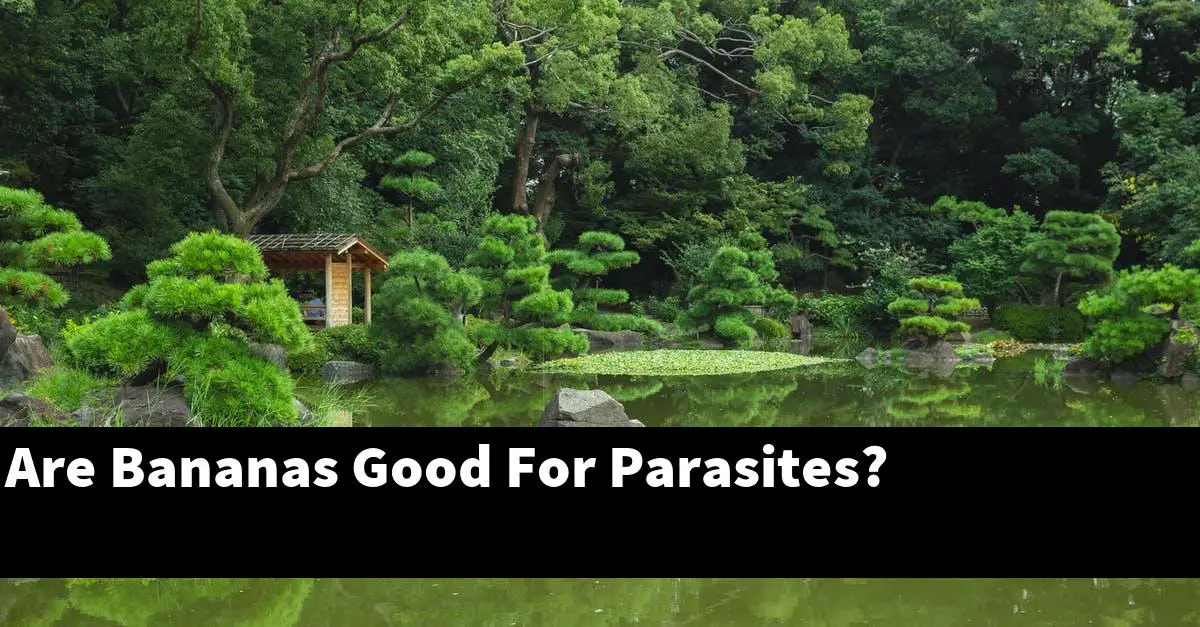 Are Bananas Good For Parasites?