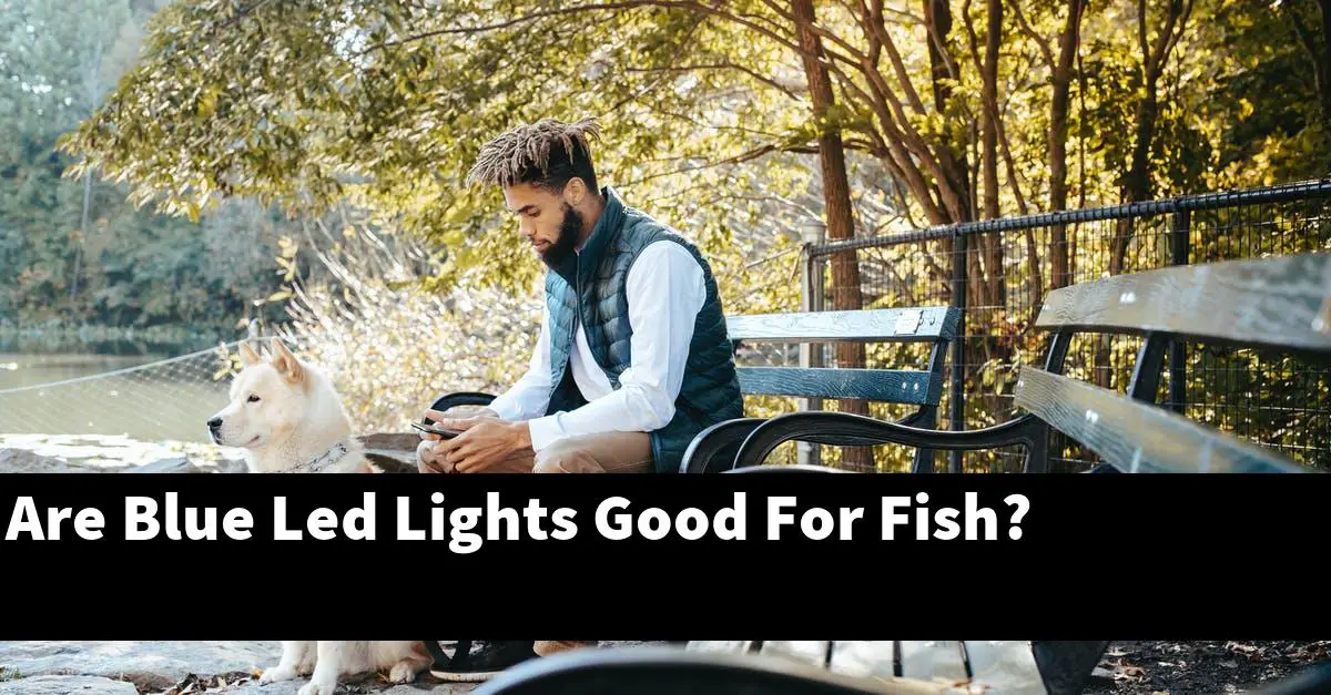 Are Blue Led Lights Good For Fish?
