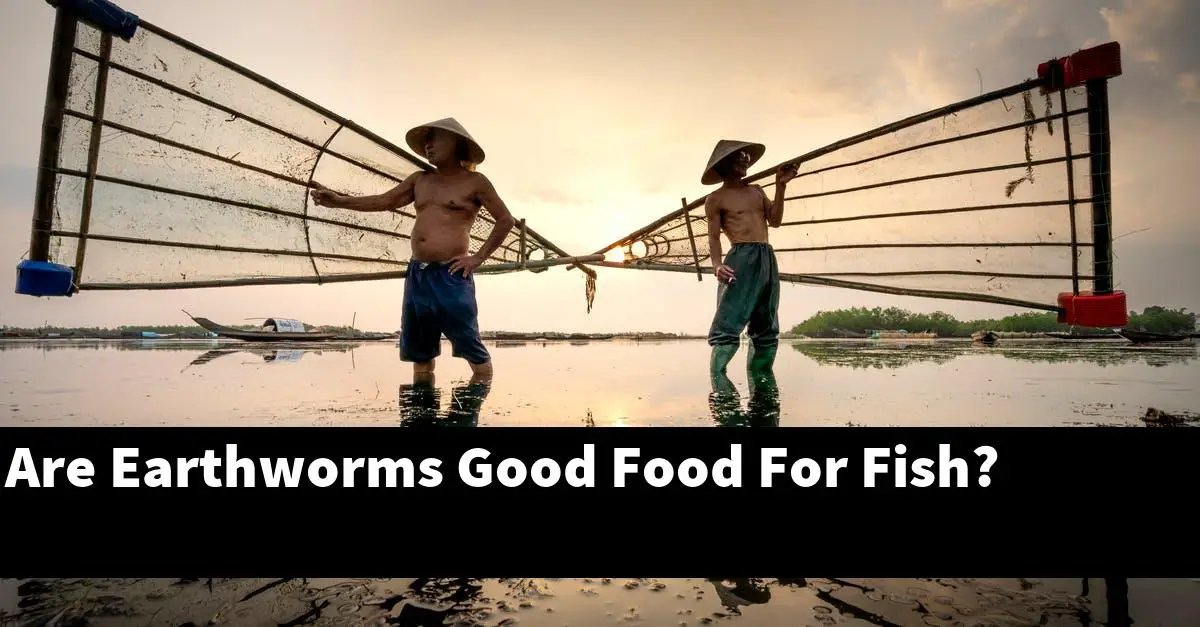 Are Earthworms Good Food For Fish?