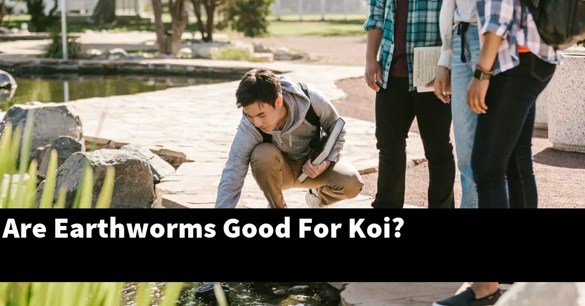 Are Earthworms Good For Koi?
