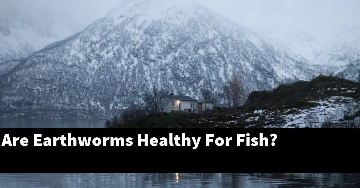 Are Earthworms Healthy For Fish?