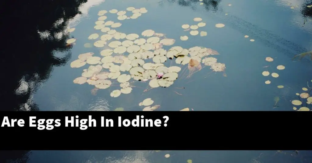 Are Eggs High In Iodine? [2024 Guide] Gold Koi Fish