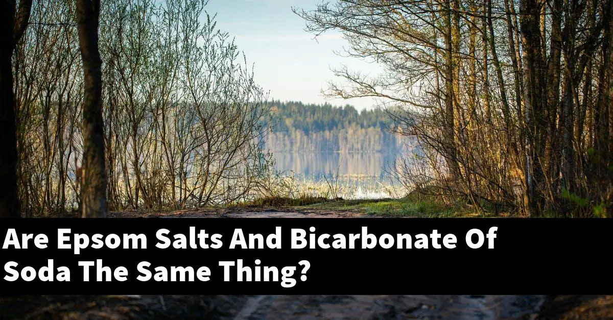 Are Epsom Salts And Bicarbonate Of Soda The Same Thing?