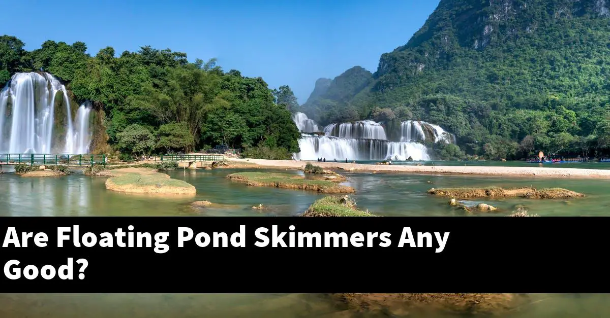 Are Floating Pond Skimmers Any Good?