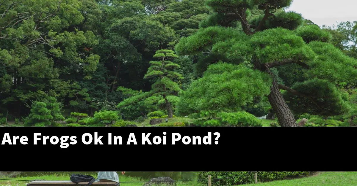 Are Frogs Ok In A Koi Pond?
