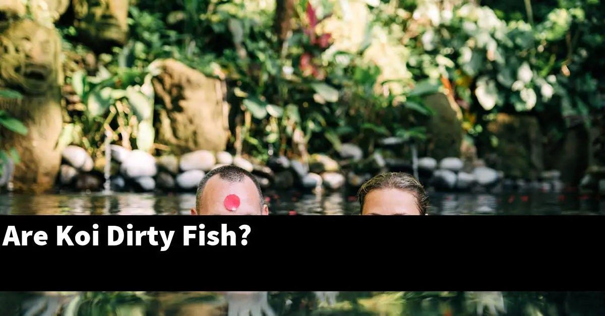 Are Koi Dirty Fish?