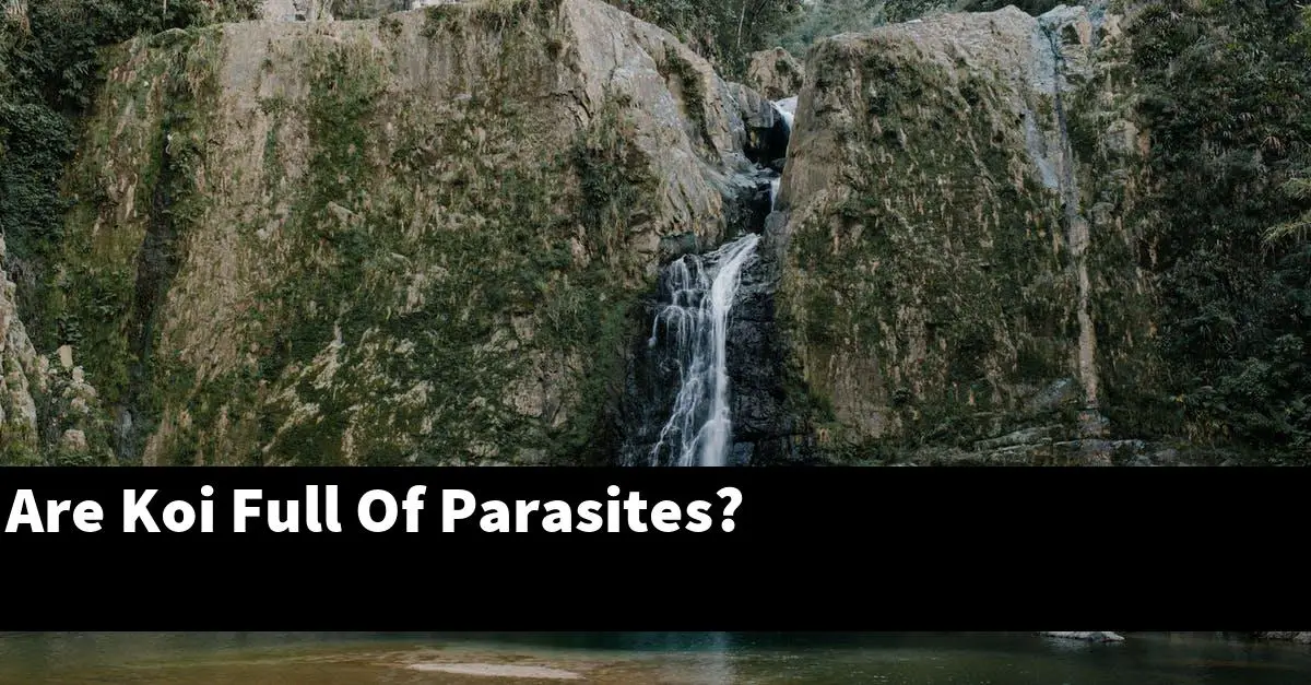 Are Koi Full Of Parasites?