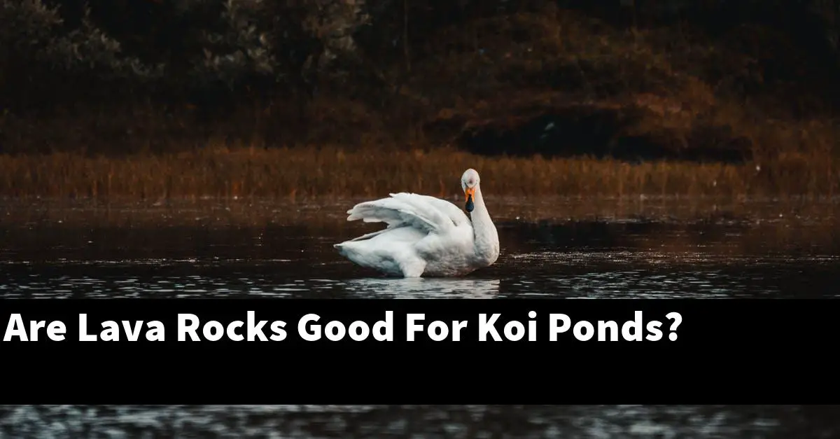 Are Lava Rocks Good For Koi Ponds?