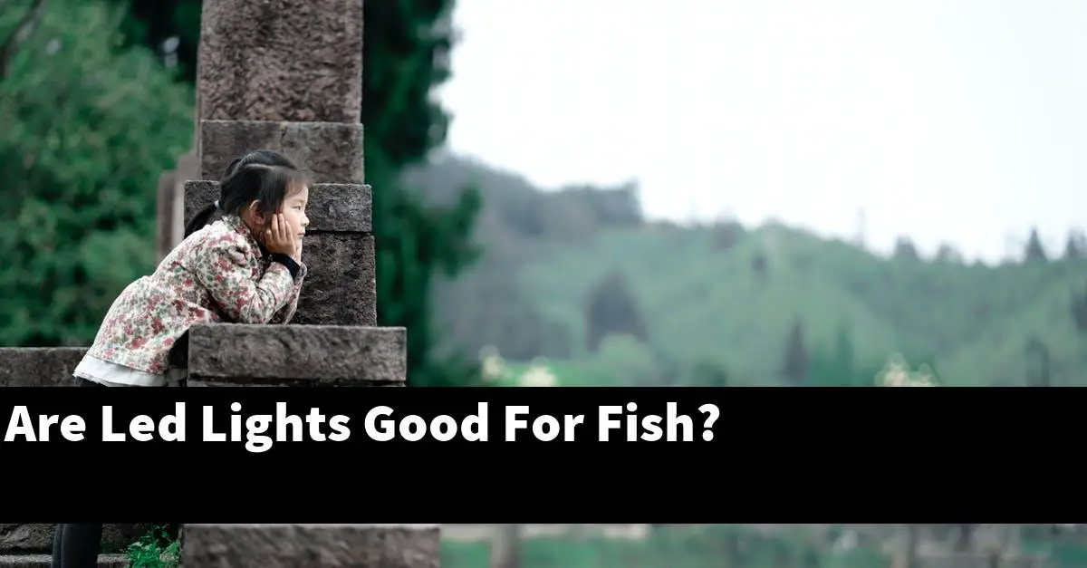 Are Led Lights Good For Fish?