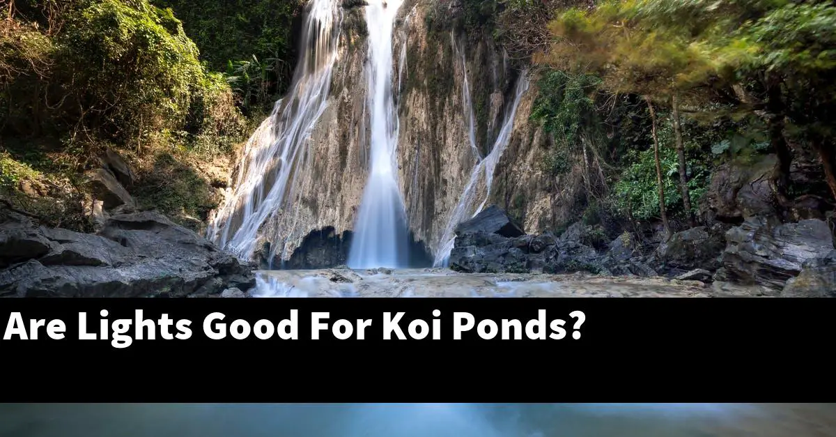 Are Lights Good For Koi Ponds?