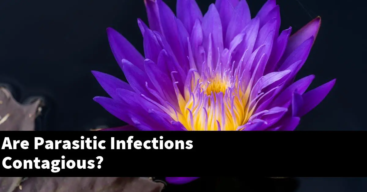 Are Parasitic Infections Contagious?