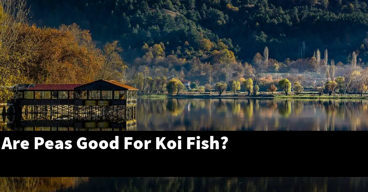 Are Peas Good For Koi Fish?