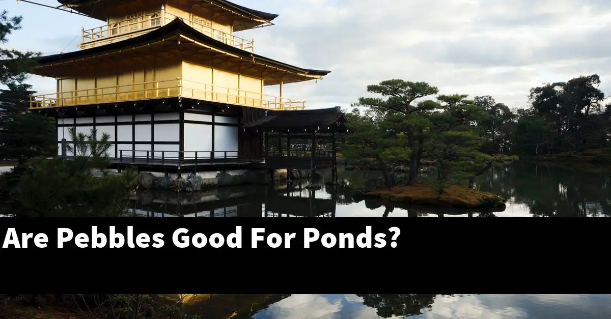 Are Pebbles Good For Ponds?