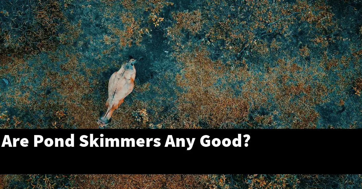 Are Pond Skimmers Any Good?