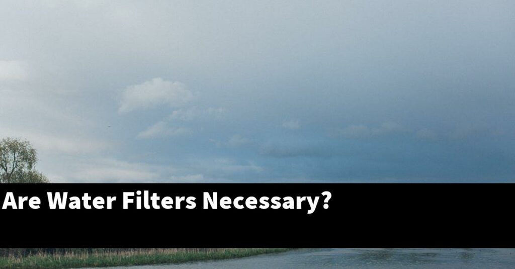 Are Water Filters Necessary? [2024 Guide] Gold Koi Fish