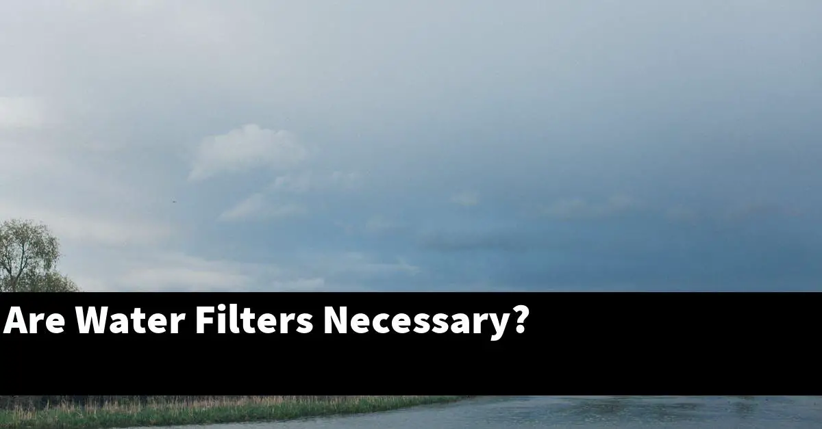 Are Water Filters Necessary?
