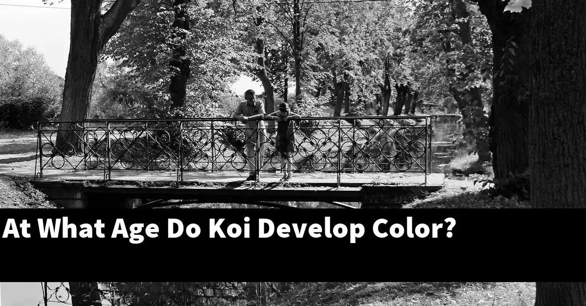 At What Age Do Koi Develop Color?