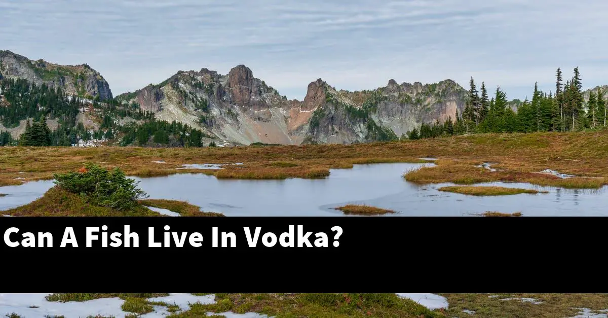 Can A Fish Live In Vodka?
