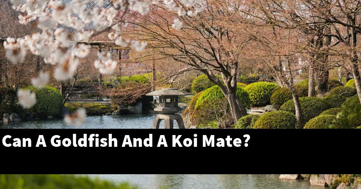 Can A Goldfish And A Koi Mate?