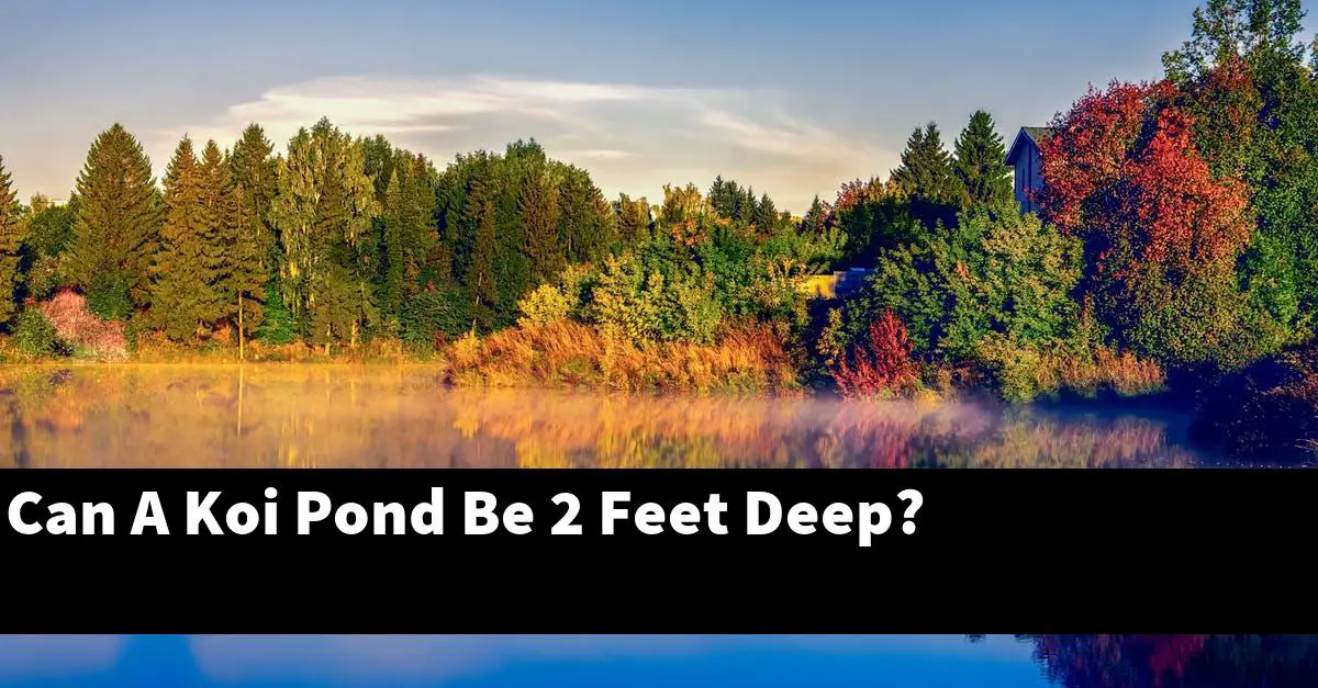 Can A Koi Pond Be 2 Feet Deep?