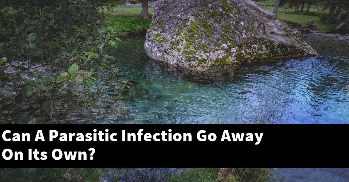 Can A Parasitic Infection Go Away On Its Own?