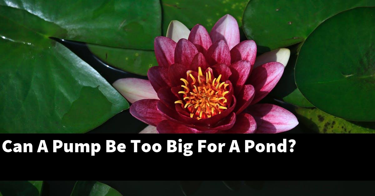 Can A Pump Be Too Big For A Pond?